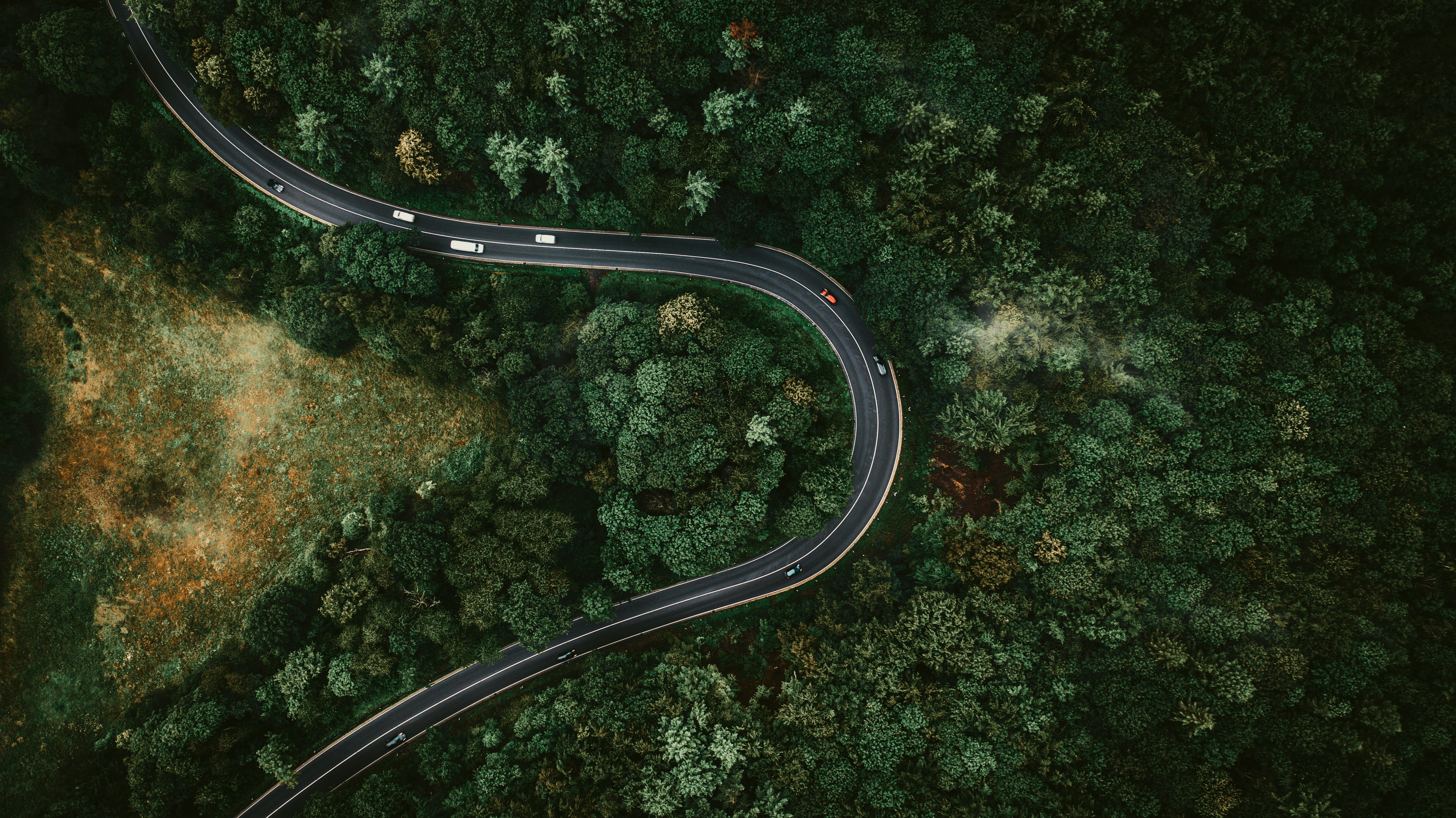 aerial view of road in the middle of green trees